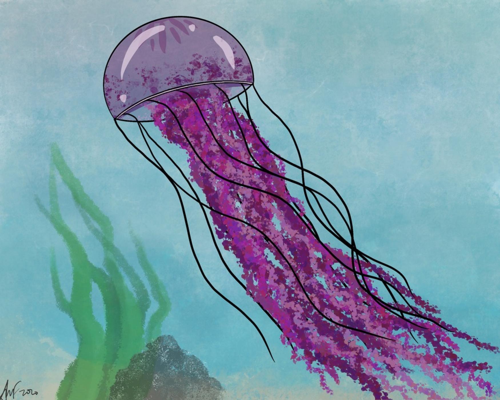 Purple Jellyfish Photo Print 