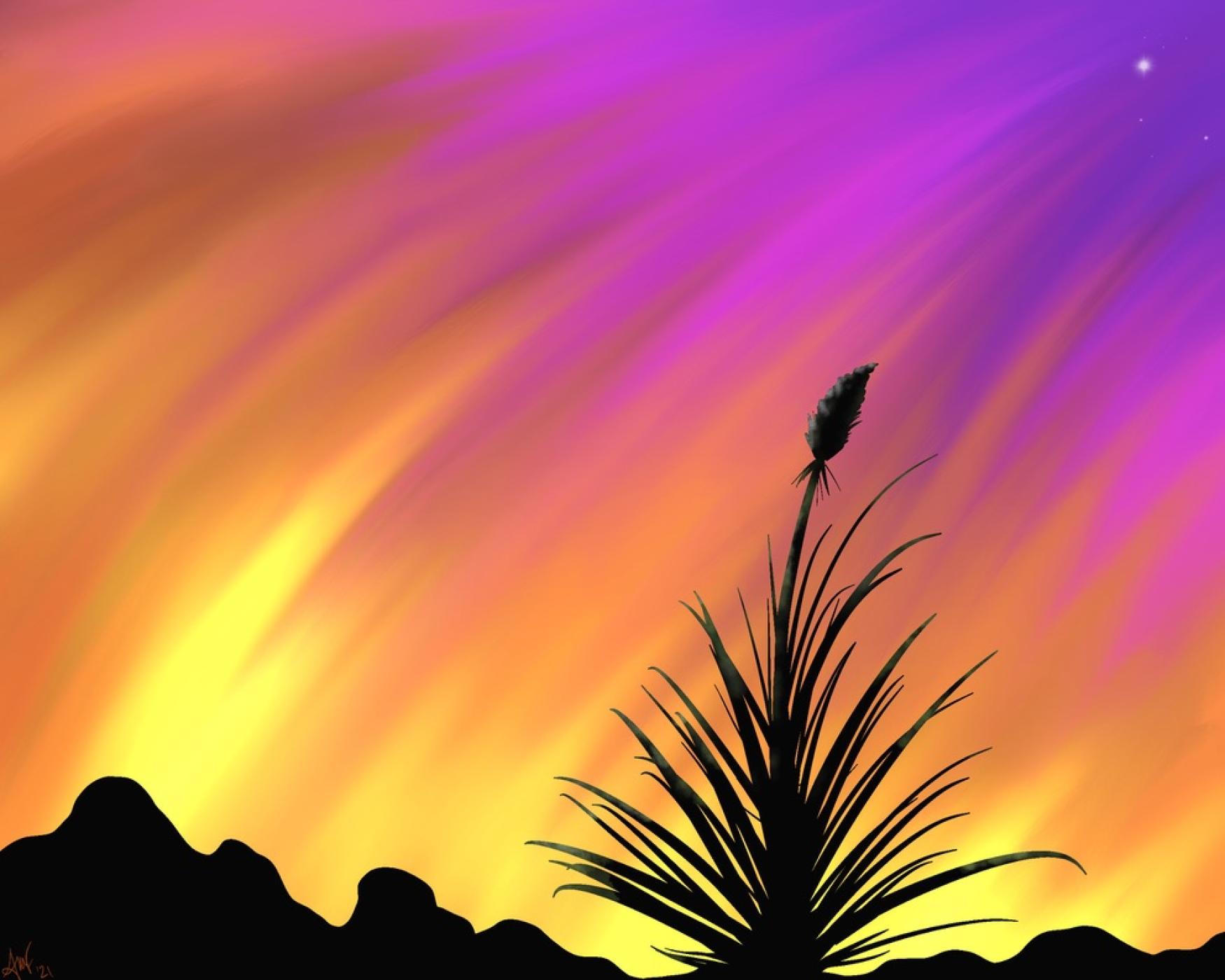 Yucca Sunset Photo Print 