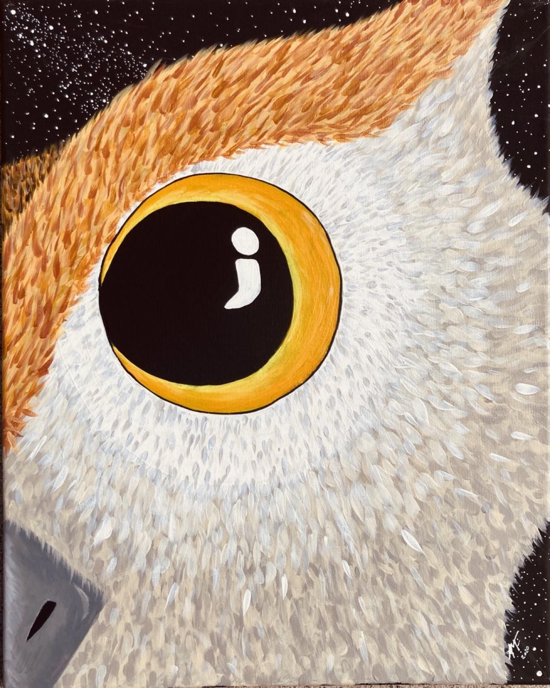 Owl Head Photo Print 