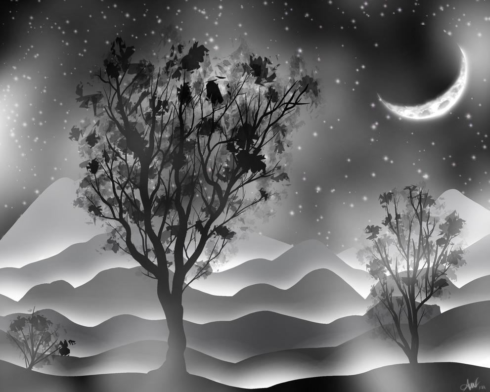 Misty Moonlight Photo Print 